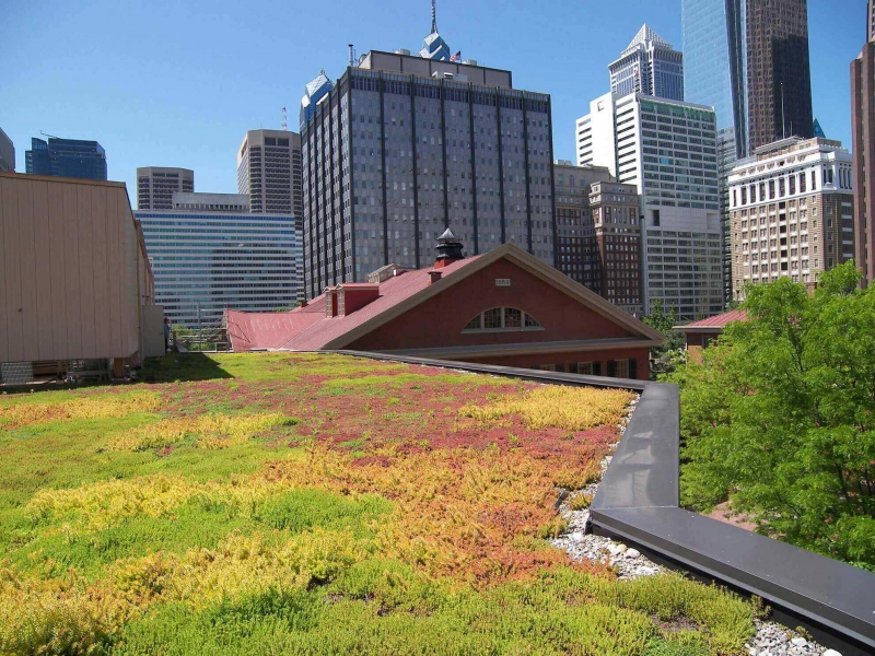 paysagiste-ESCRAGNOLLES-min_green-roof-portfolio-4